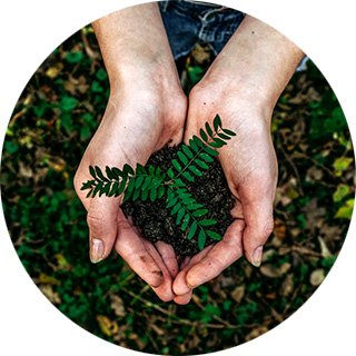 Environmental Sustainability